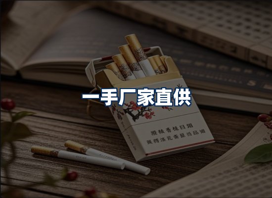 专业团队办公环境